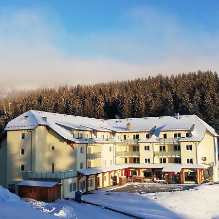 Ferienwohnung Residenz Grafenmatt Feldberg Feldberg  Exterior foto