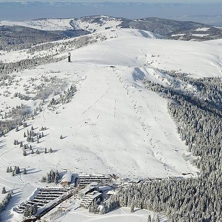 Ferienwohnung Residenz Grafenmatt Feldberg Feldberg  Exterior foto